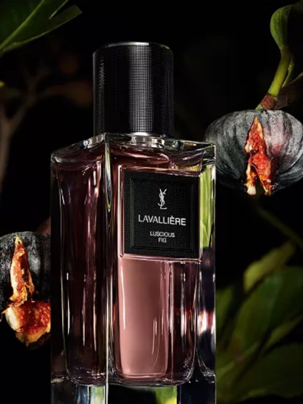 YSL FIG - Picture 2 of 5